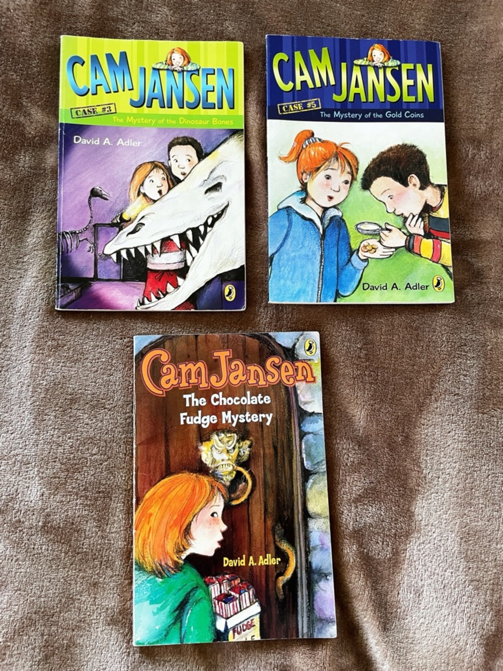 Puffin Books Cam Jansen Kids Book Set - Mystery Young Reader